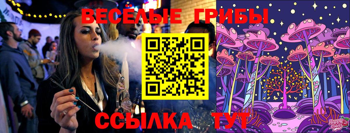 Галлюциногенные грибы Psilocybe  цена   Владикавказ  Вход с VPN 