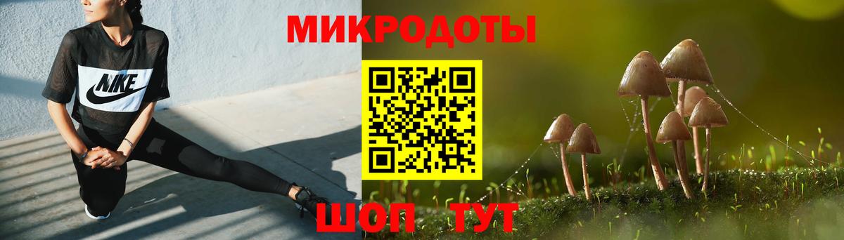 Галлюциногенные грибы Psilocybine cubensis Владикавказ